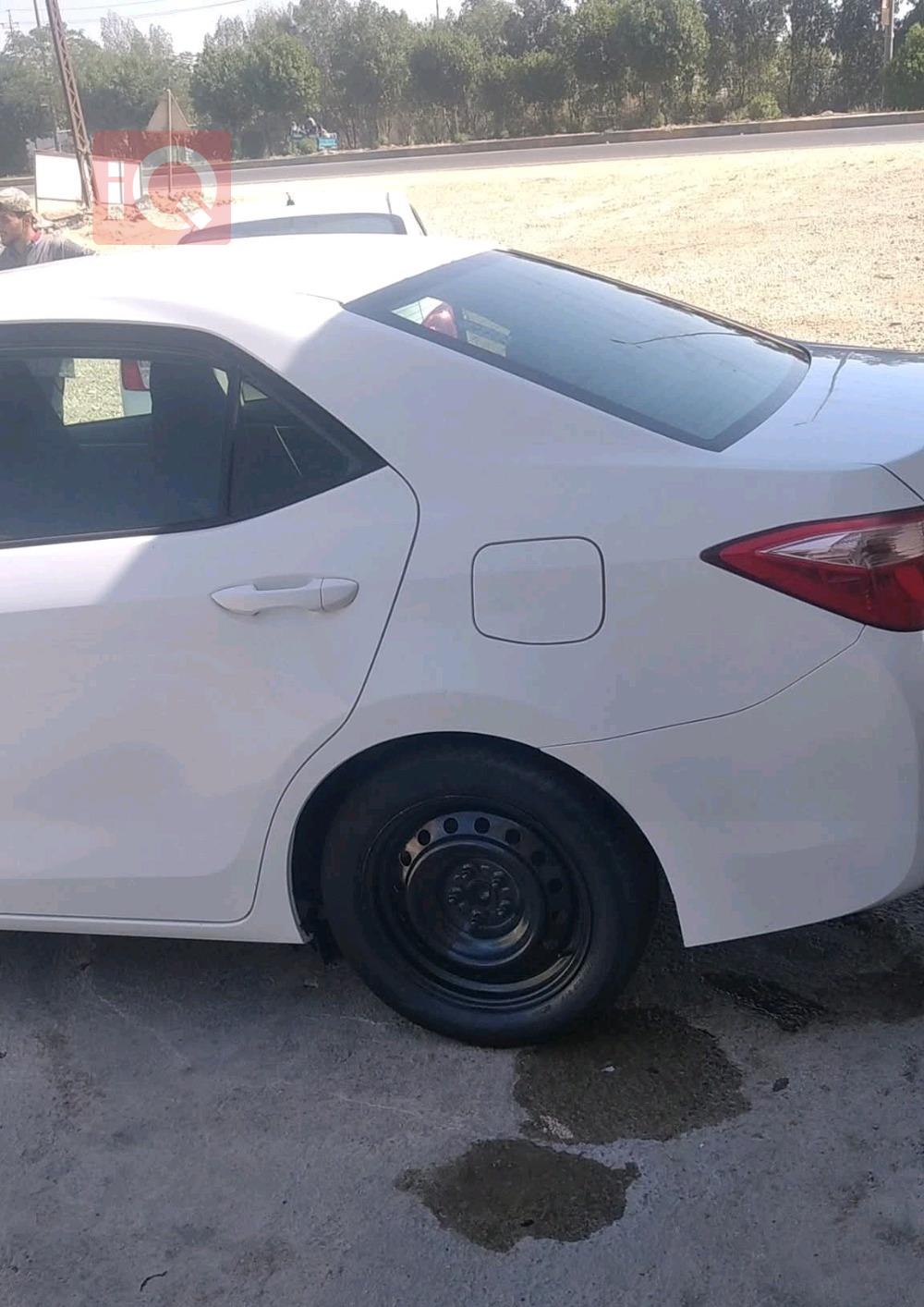 تويوتا كورولا